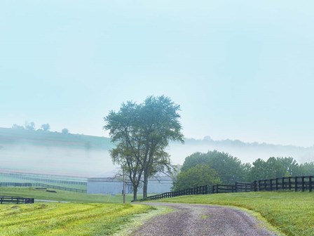 Farmscape Photo VII by James McLoughlin art print