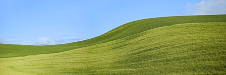 Farmscape Panorama VIII by James McLoughlin art print