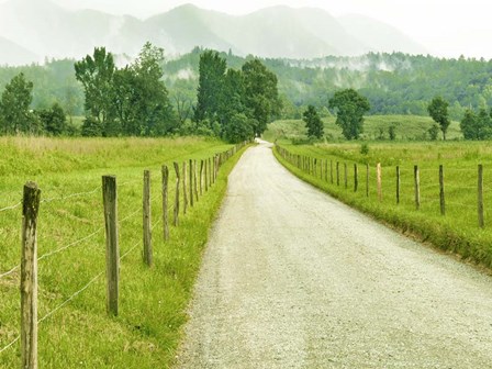 Country Road Photo I by James McLoughlin art print