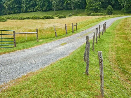 Country Road Photo III by James McLoughlin art print