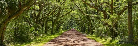 Country Road Panorama IV by James McLoughlin art print