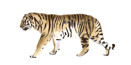 Watercolor Tiger III by Victoria Borges art print