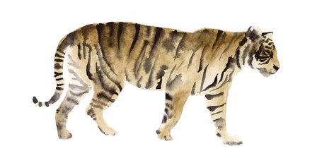 Watercolor Tiger IV by Victoria Borges art print