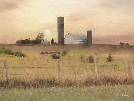 Sunset at the Dexter Farm by Lori Deiter art print