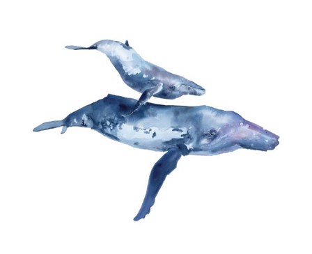 Mother &amp; Calf Humpback by Kelly Clause art print