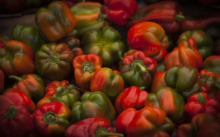 Red Peppers by Sossi Madzounian art print