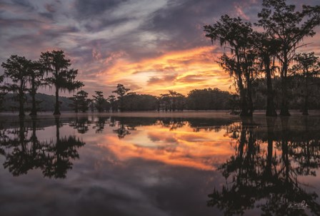 Sunrise in the Swamps by Martin Podt art print