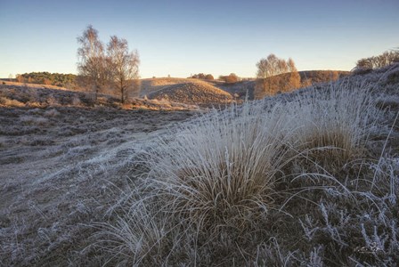 Cold as Ice by Martin Podt art print