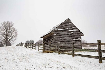 Coming to the Barn by Aledanda art print