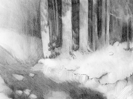 Graphite Glade I by Jacob Green art print