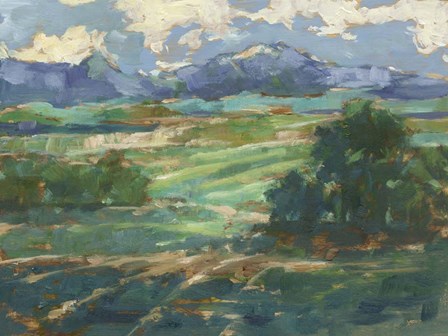 Rolling Farmland II by Ethan Harper art print