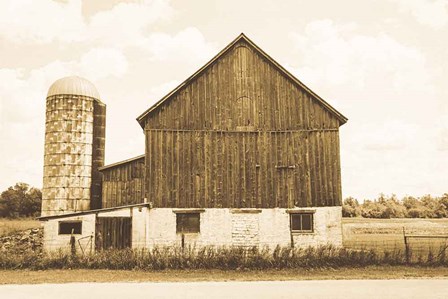 Weathered III Sepia by Elizabeth Urquhart art print