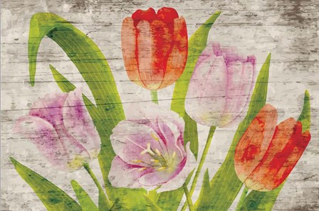 Tulips II by ND Art &amp; Design art print