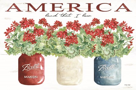 America Glass Jars by Cindy Jacobs art print