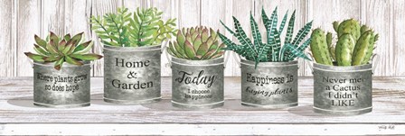 Galvanized Pot Succulents II by Cindy Jacobs art print