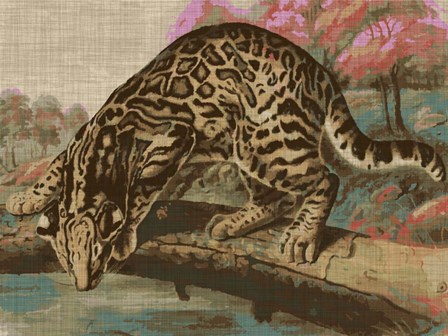 Urban Jungle Cat I by Jarman Fagalde art print