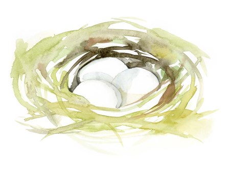 Watercolor Nest II by Jennifer Goldberger art print