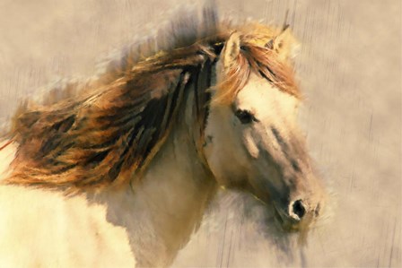 Blended Horse I by Kim Curinga art print