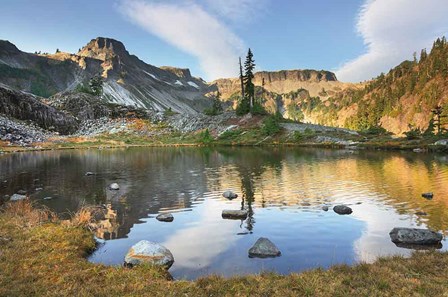 Heather Meadows in Autumn by Alan Majchrowicz art print