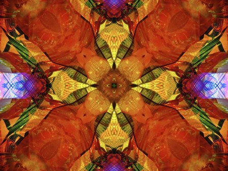 Colorful Kaleidoscope 10 by Anna Miller / Danita Delimont art print