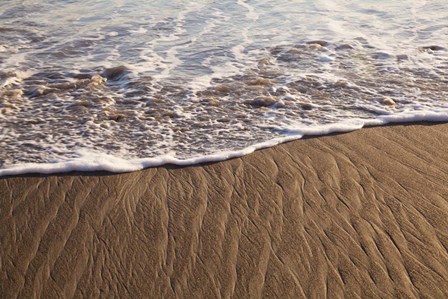 Rialto Beach Olympic National Park, Washington State by Michele Niles / DanitaDelimont art print