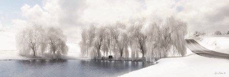 Winter Willow by Lori Deiter art print