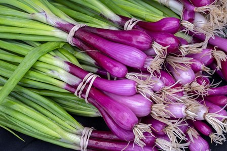 Purple Scallions by Jim Engelbrecht / Danita Delimont art print