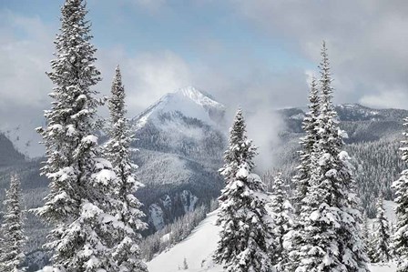 North Cascades in Winter I by Alan Majchrowicz art print