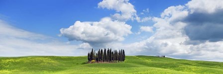 Cypresses, Val d&#39;Orcia, Tuscany by Frank Krahmer art print