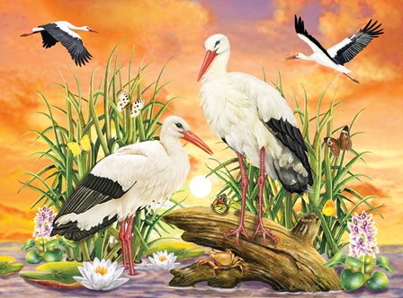 Storks by Rosiland Solomon art print
