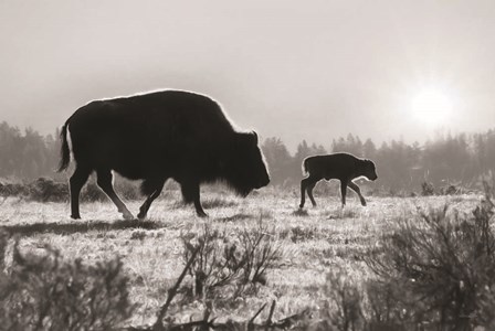 Lamar Valley Migration by Lori Deiter art print