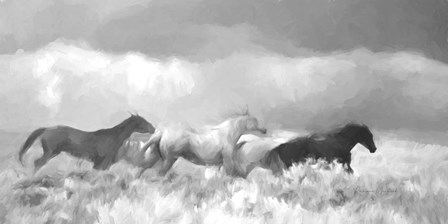 Mustang Herd II BW by Ramona Murdock art print