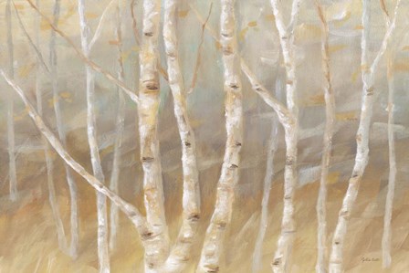 Autumn Birch landscape by Cynthia Coulter art print