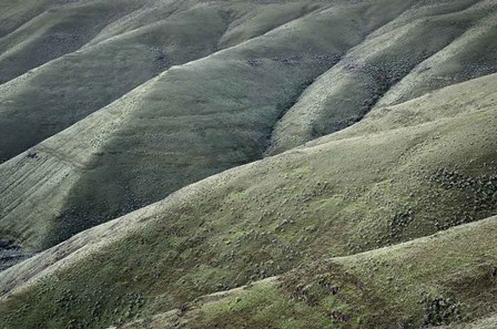 Columbia Plateau Oregon by Alan Majchrowicz art print