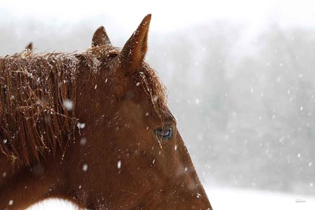 Snowy Caleb by Sue Schlabach art print