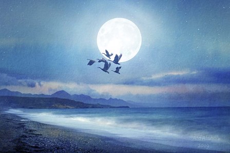 Birds Flying 2 by Ata Alishahi art print