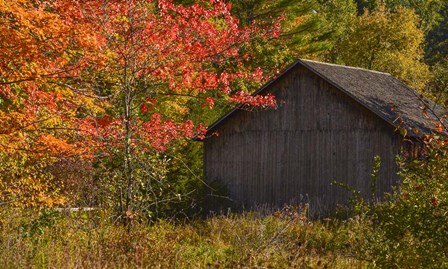 Taste of Vermont by Brenda Petrella Photography LLC art print