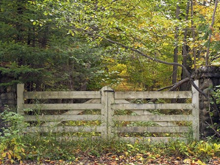 Gate And Country Path by Clive Branson art print