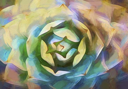 Agave Forms I by Cora Niele art print