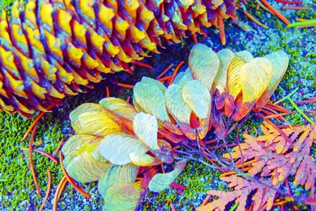 Nature in Rainbow Colors 1 by Anita Vincze art print