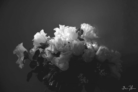White Flowers by 5fishcreative art print