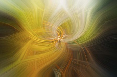 Sunburst by Lori Hutchison art print