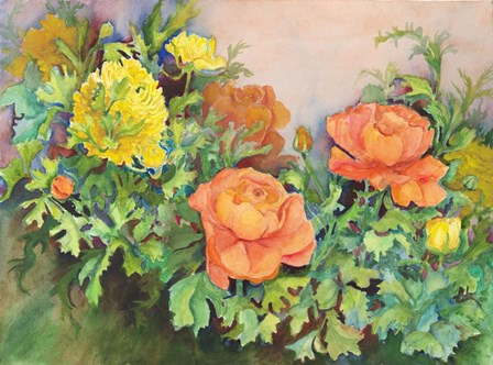 Ranunculus Mix by Joanne Porter art print