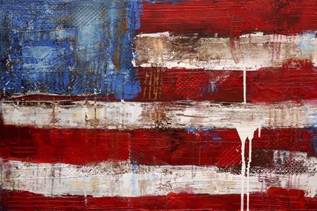 Ashley American Flag by Erin Ashley art print