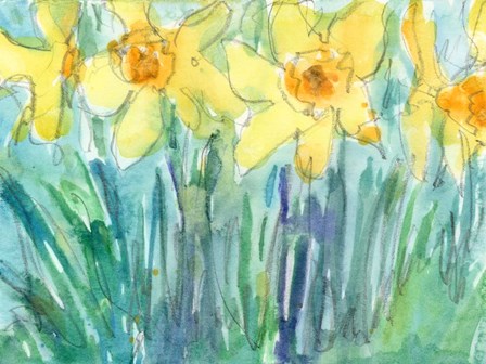 Daffodil Blooms I by Sam Dixon art print