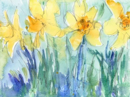 Daffodil Blooms II by Sam Dixon art print
