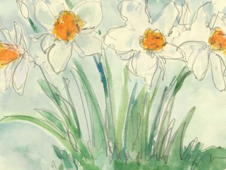 Daffodils Orange and White II by Sam Dixon art print