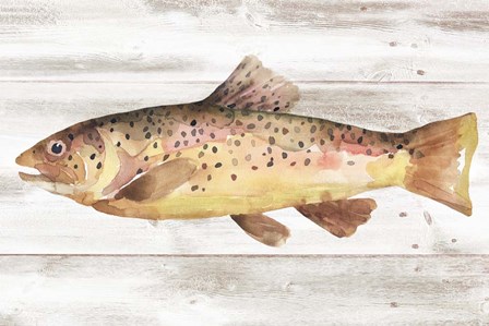 Spotted Trout I by Annie Warren art print