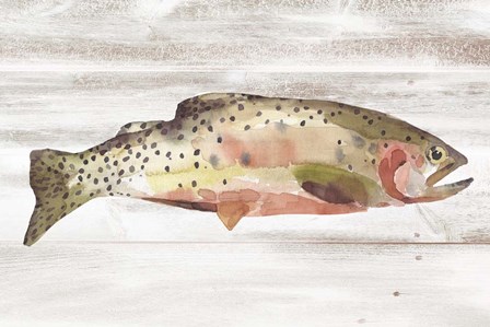 Spotted Trout II by Annie Warren art print