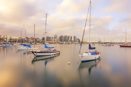 Calm In Reflection San Diego by Joseph S Giacalone art print